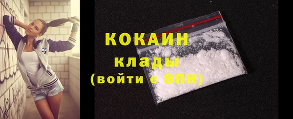 ешки Арсеньев