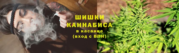 гашик Аркадак