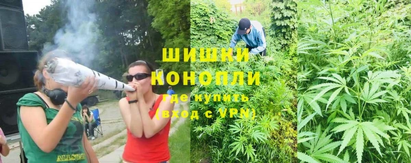 гидра Армянск