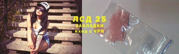 гашик Аркадак
