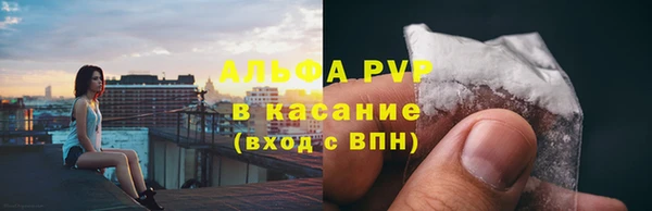 гашик Аркадак
