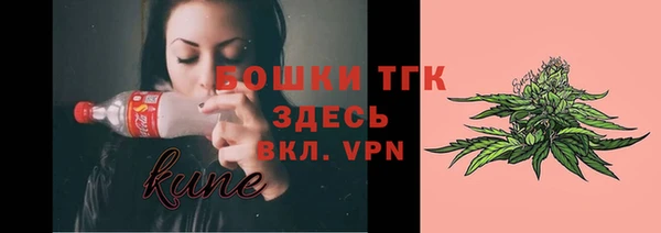 ешки Арсеньев