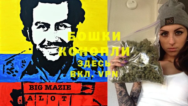 гидра Армянск