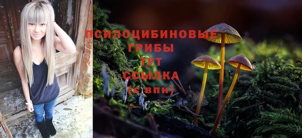 гашик Аркадак