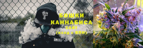 гашик Аркадак