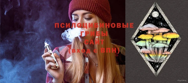 ешки Арсеньев