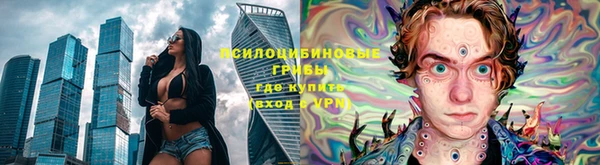гидра Армянск