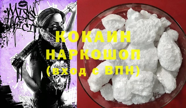 ешки Арсеньев