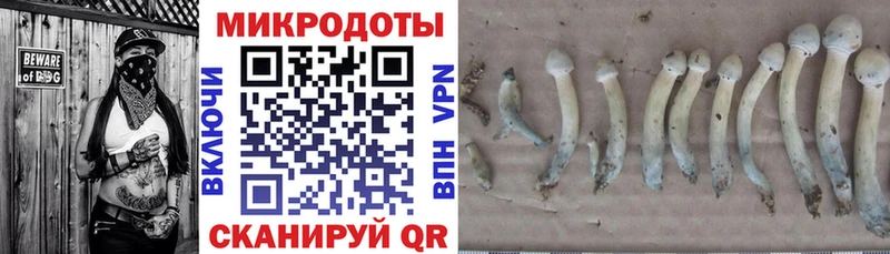 Купить  Любань  Галлюциногенные грибы MAGIC MUSHROOMS 